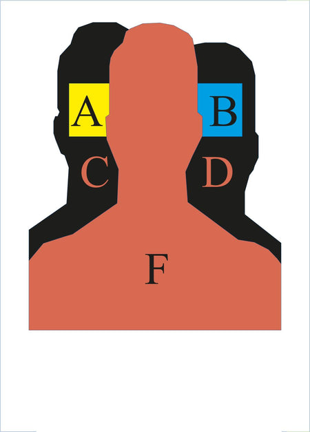 ROMTES SCT Size E Tactical Ruben 6 Zone Type E Target