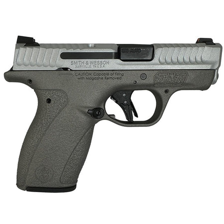 BODYGUARD 2.0 380ACP (1)10&(1)12 MAGS NTS SATIN GUN METAL