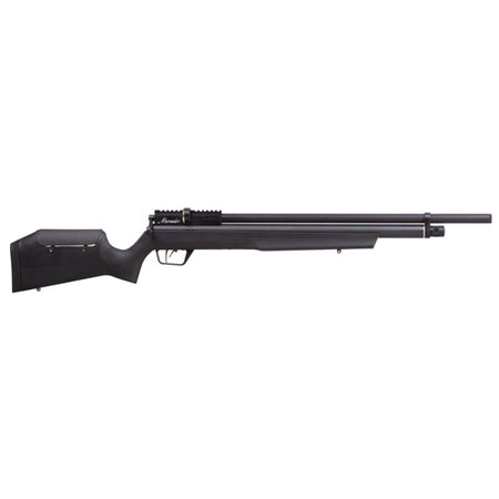 BENJAMIN MARAUDER - BLACK, 22 CAL, LOTHAR WALTHER BBL, 10/RD