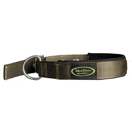 Swagger Green Medium Dog Collar Nylon Web with Neoprene Lining 16"-20"