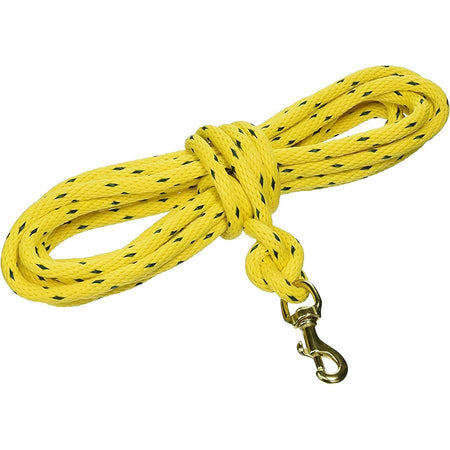 Omnipet 20ft Check Cord Training Leash Yellow