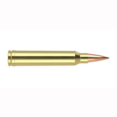 Nosler Trophy Grade .300 WSM 190 gr PolyTip ammo