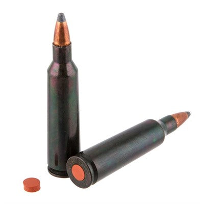 Traditions Rifle Training Cartridge 22-250 Rem 2-Count