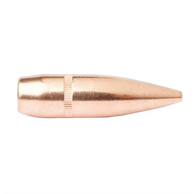CamPro 30 Cal 0.308 Inch Diameter Reloading Projectiles