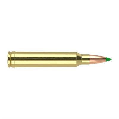 Nosler Hunting .300 Winchester Mag 180 gr PolyTip ammo
