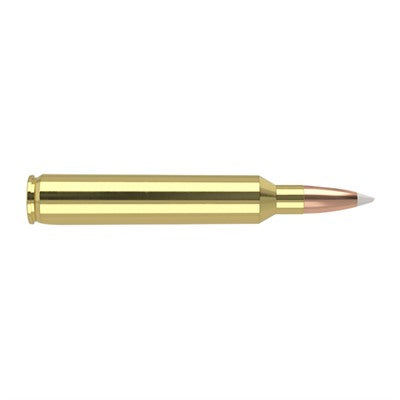 Nosler Trophy Grade 7mm RUM 160 gr JSP ammo