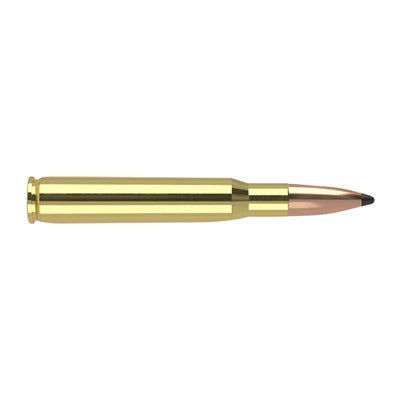Nosler 61018 Trophy Grade Partition  165 Grain .30-06 Springfield