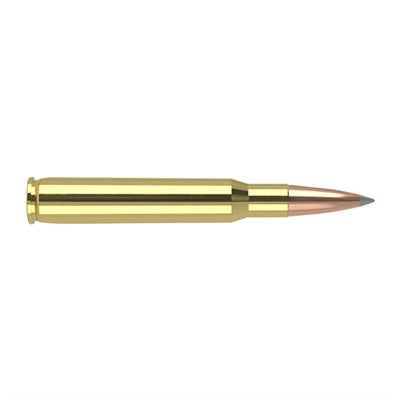Nosler 60102 Trophy Grade Nosler Spitzer AccuBond Long Range  168 Grain .30-06 Springfield