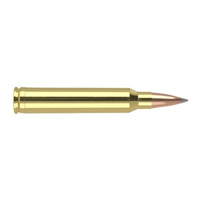 Nosler 60126 Trophy Grade Nosler Spitzer AccuBond Long Range  190 Grain .300 Winchester Mag