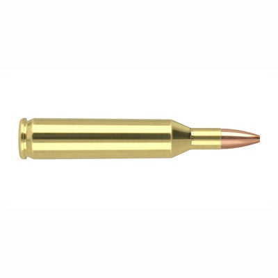 Nosler Varmageddon .17 Remington 20 gr JHP ammo