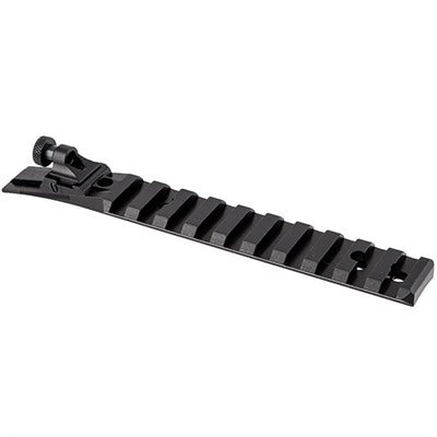 Ruger 10/22 Ace in the Hole Sight Set